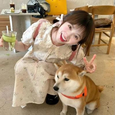 新扎师兄追女仔